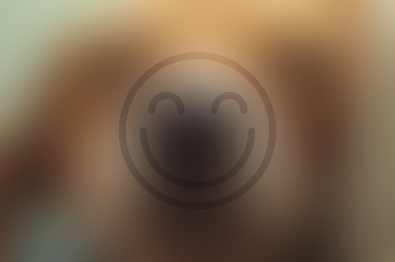 Families and their pets